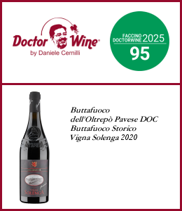 Guida Essenziale ai Vini d'Italia 2025 - 95/100 - Buttafuoco Storico Vigna Solenga 2020